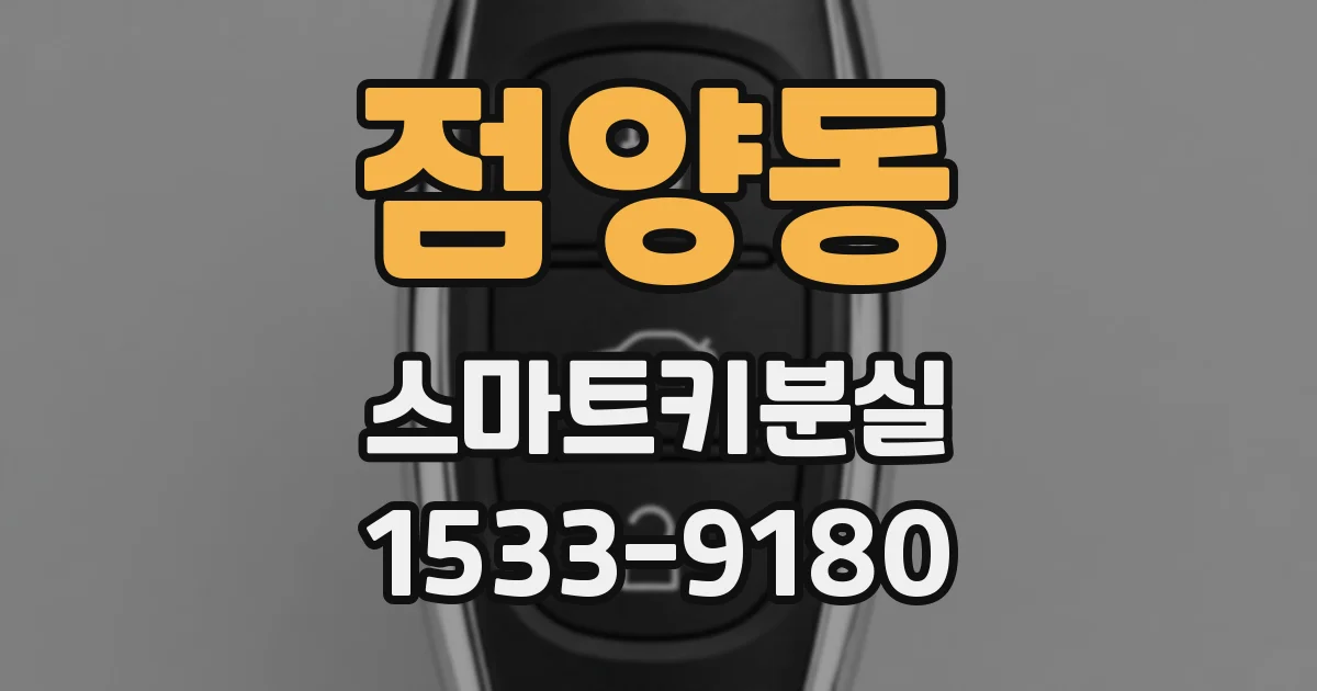 점양동 스마트키분실