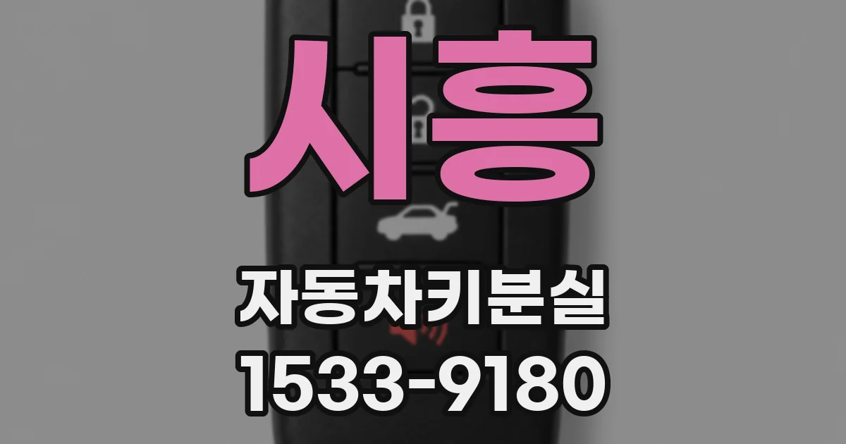 시흥 자동차키분실