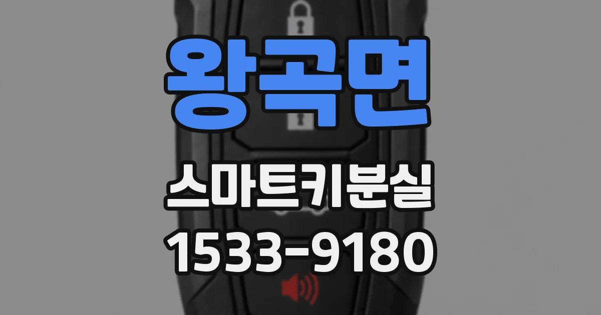 왕곡면 스마트키분실