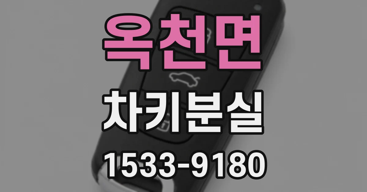 옥천면 차키분실