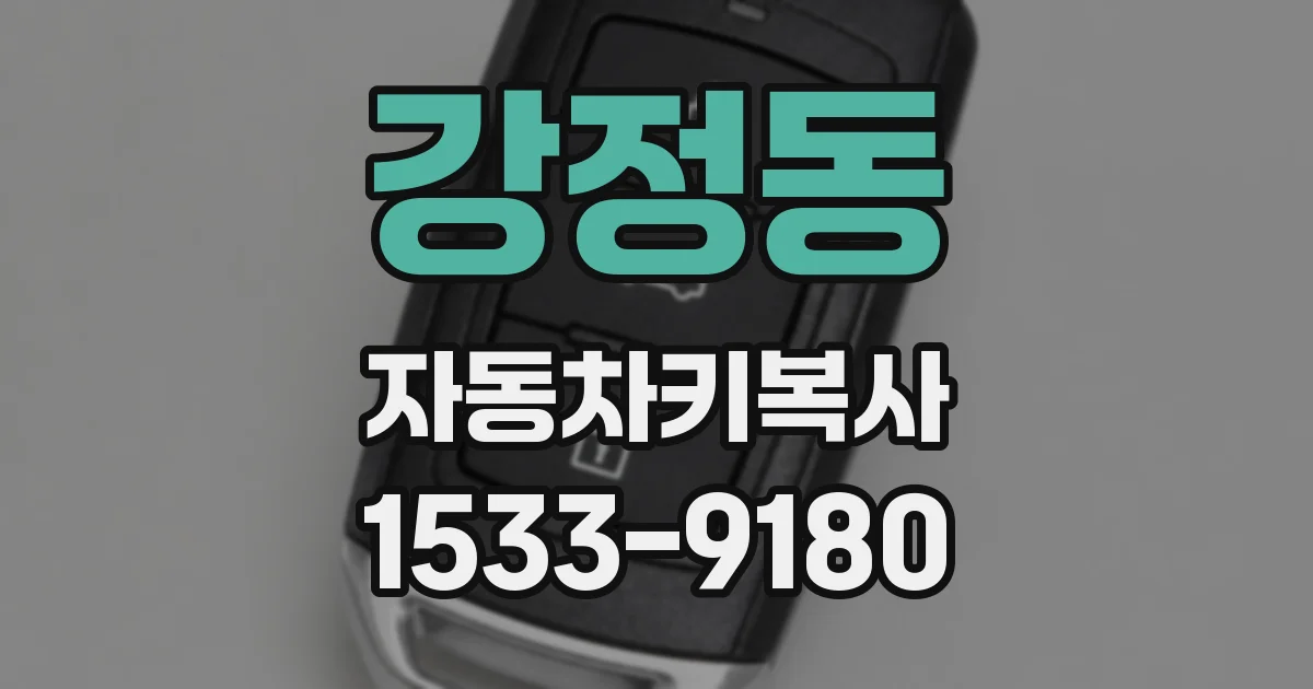 강정동 자동차키복사