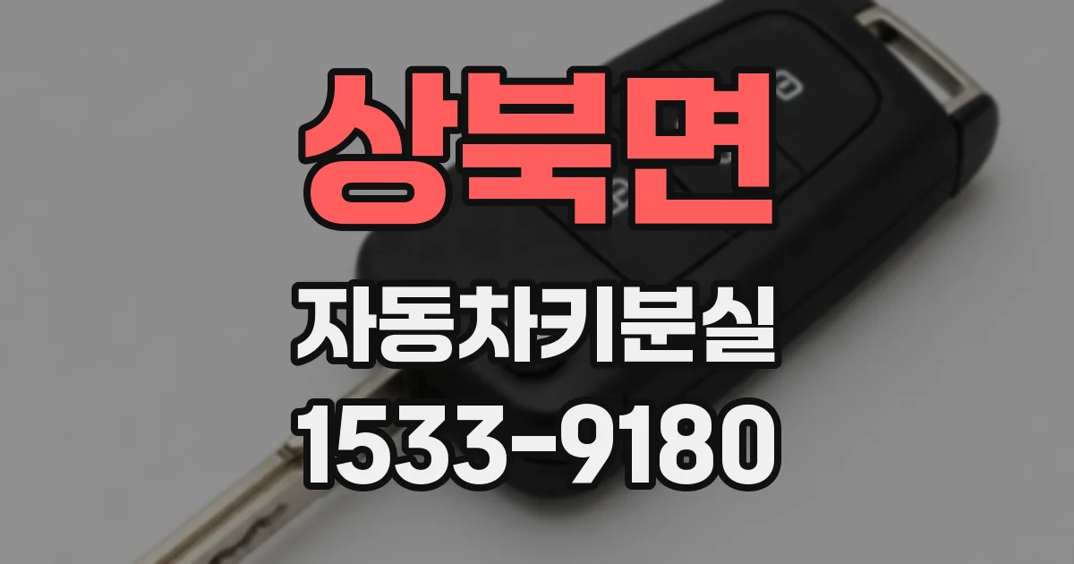 상북면 자동차키분실