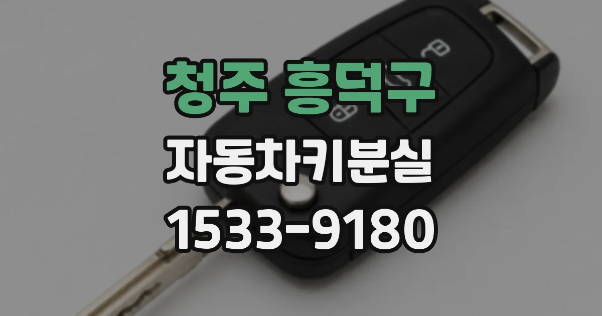 청주 흥덕구 자동차키분실