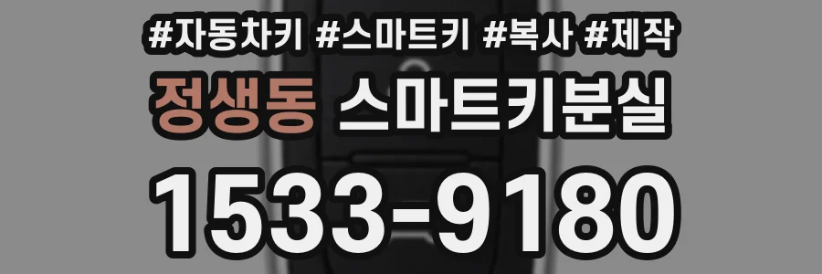 정생동 스마트키분실