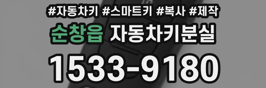 순창읍 자동차키분실