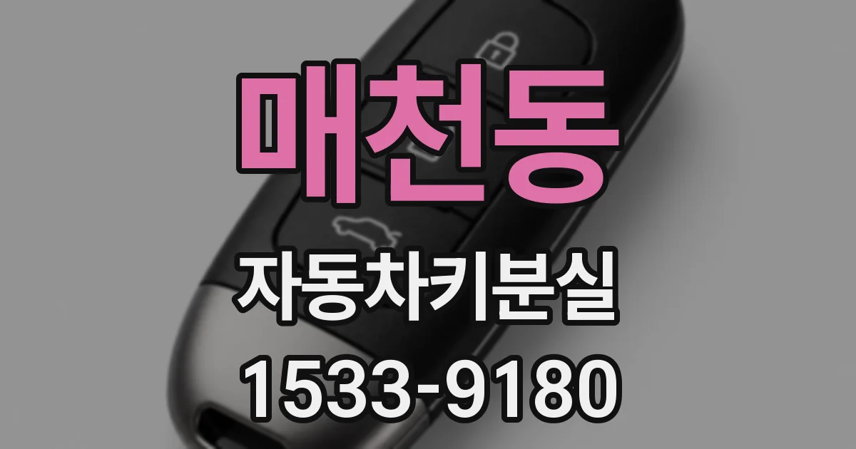 매천동 자동차키분실