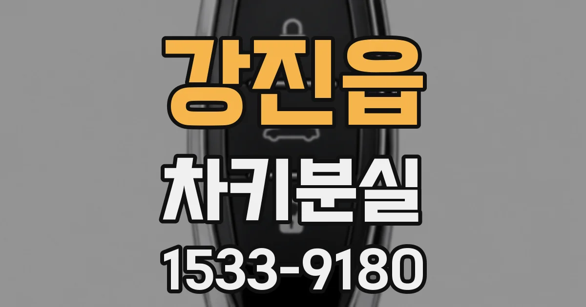 강진읍 차키분실