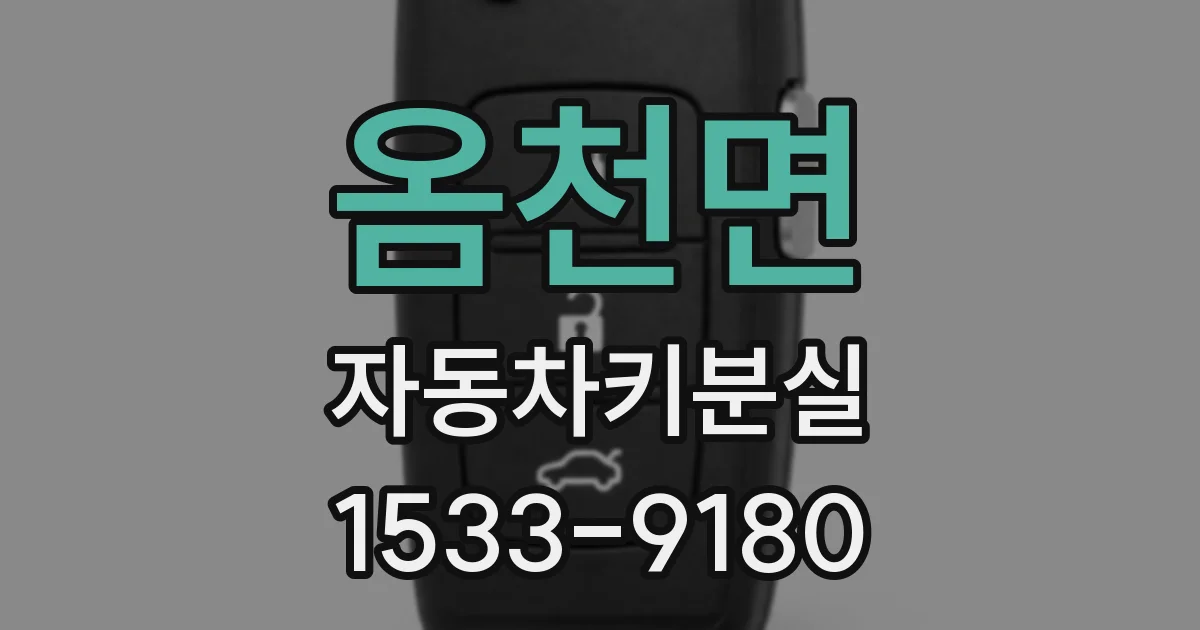 옴천면 자동차키분실