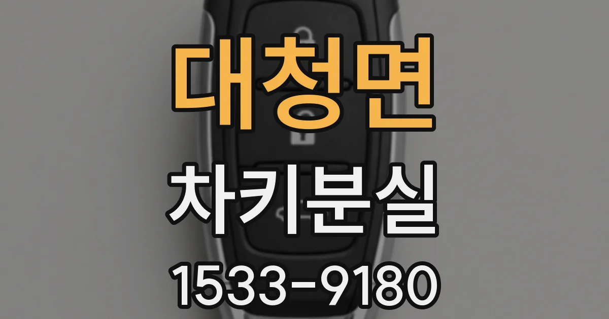 대청면 차키분실