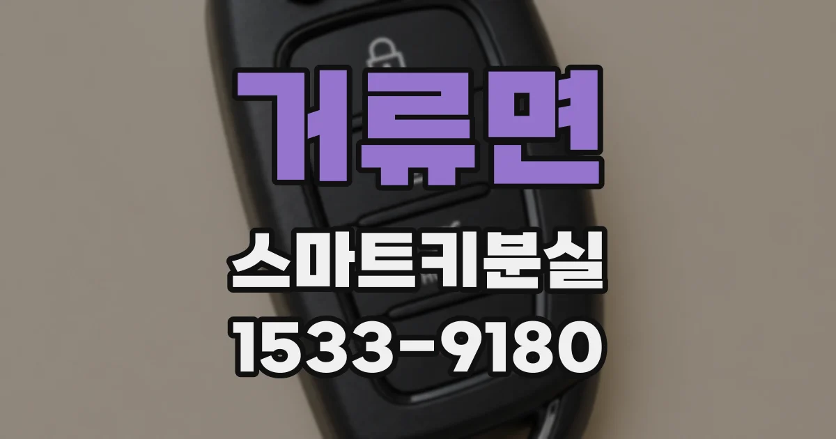 거류면 스마트키분실