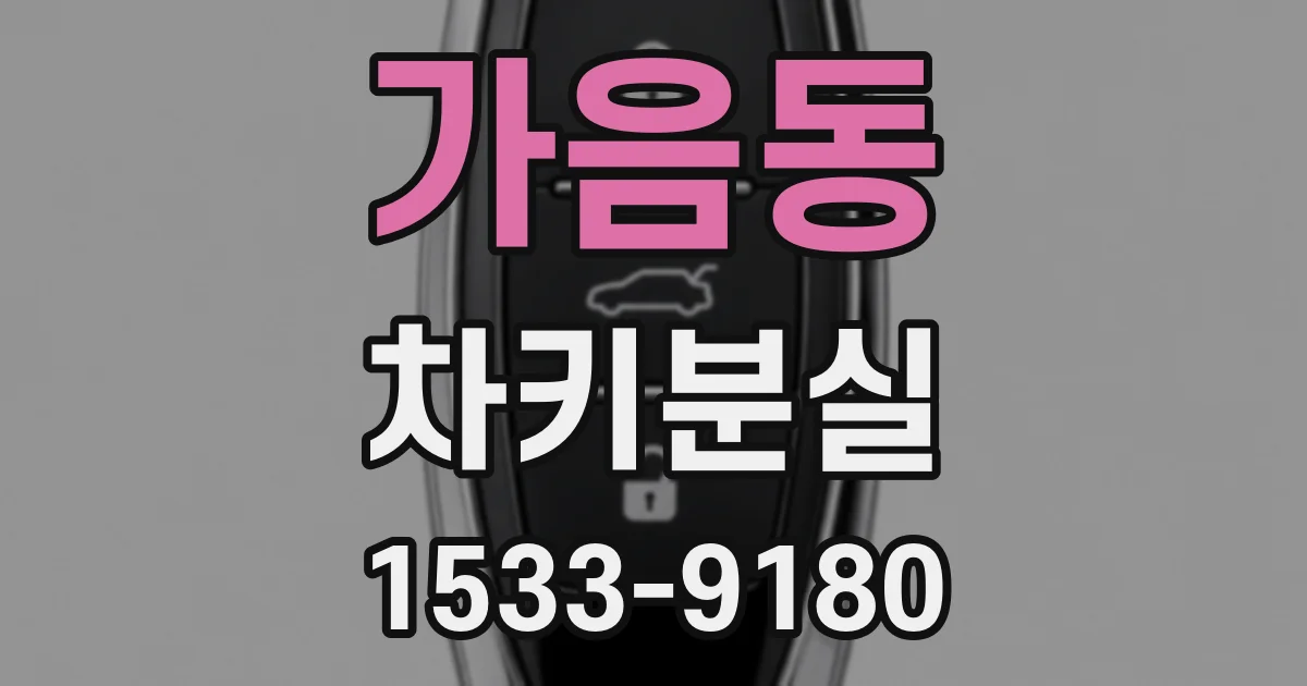 가음동 차키분실