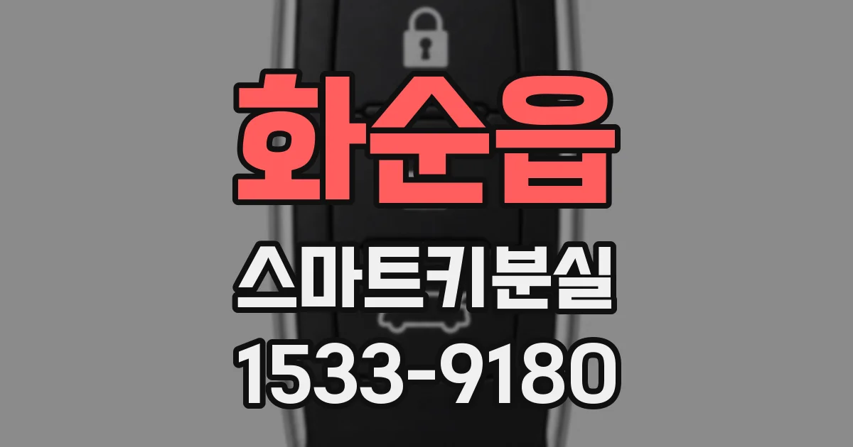 화순읍 스마트키분실