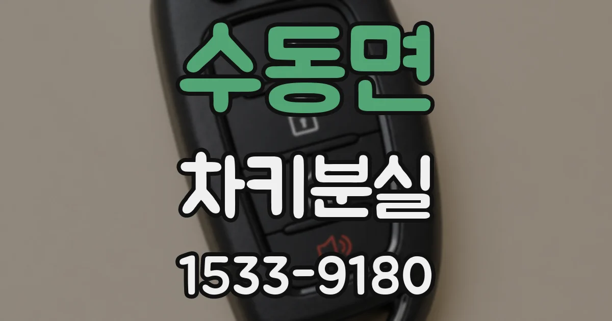 수동면 차키분실