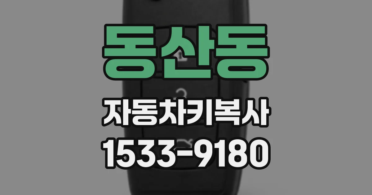 동산동 자동차키복사