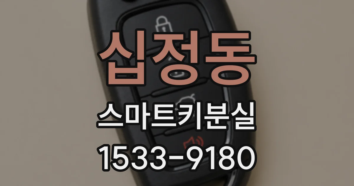 십정동 스마트키분실
