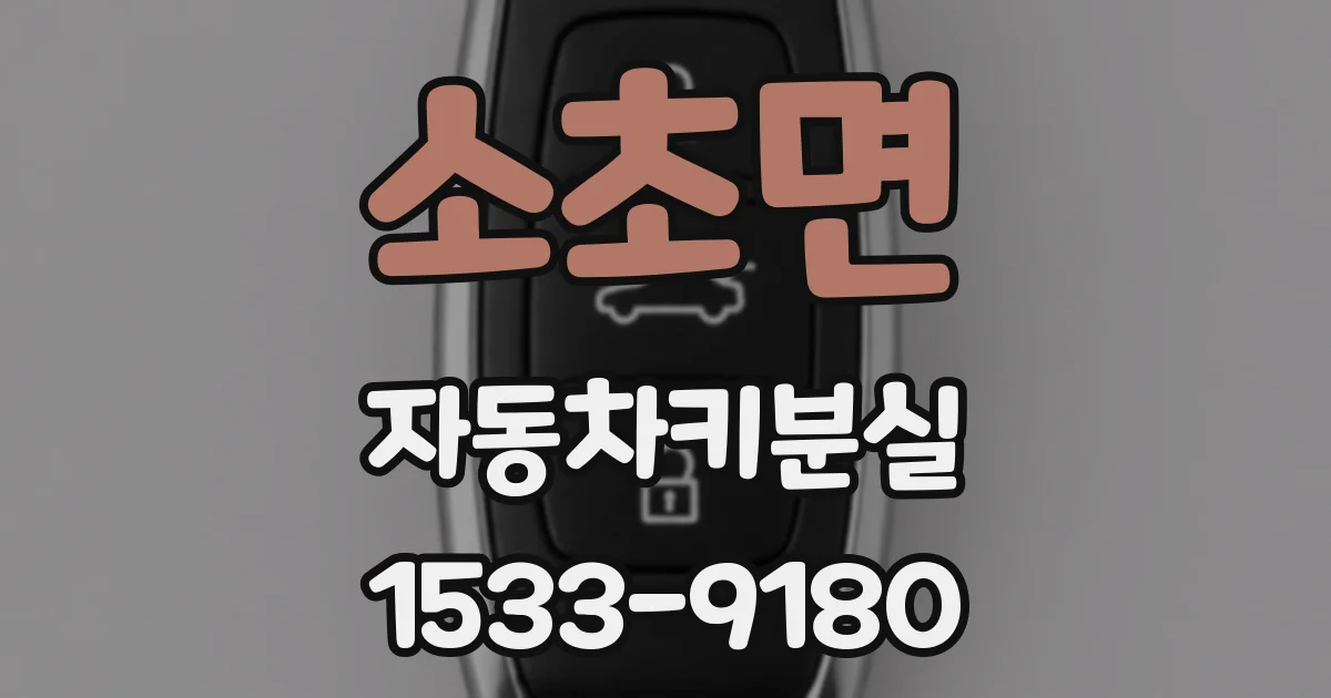 소초면 자동차키분실