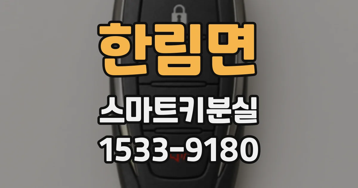 한림면 스마트키분실