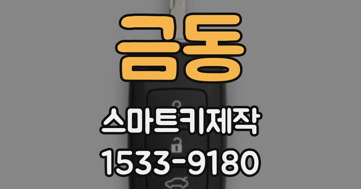 금동 스마트키제작