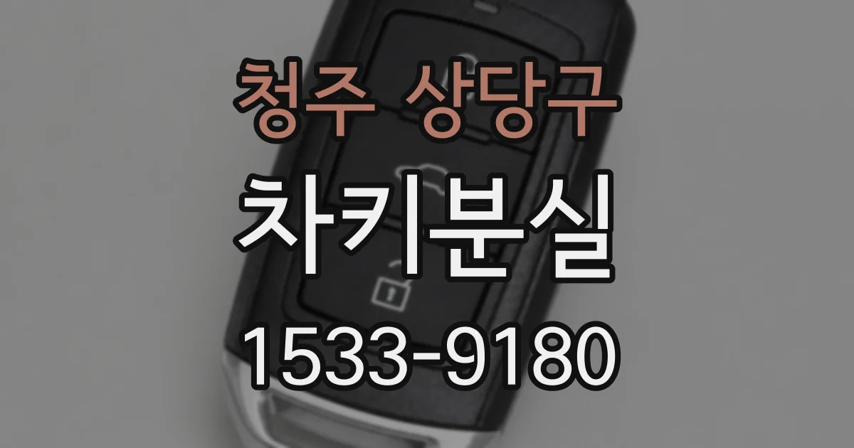 청주 상당구 차키분실