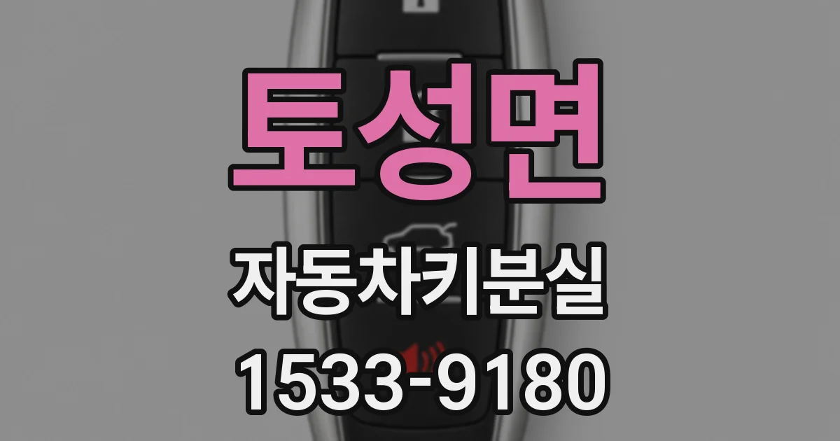 토성면 자동차키분실