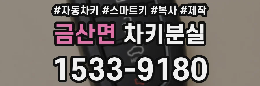 금산면 차키분실