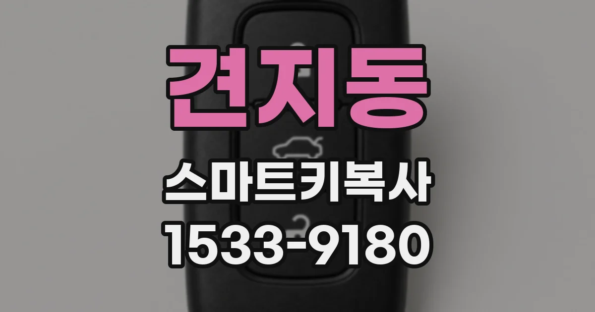 견지동 스마트키복사