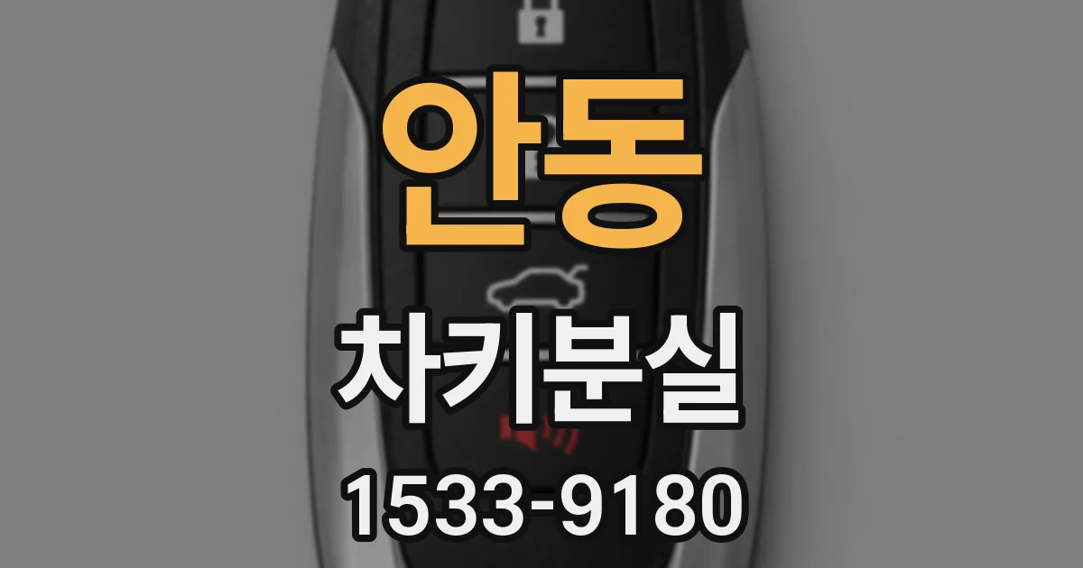 안동 차키분실