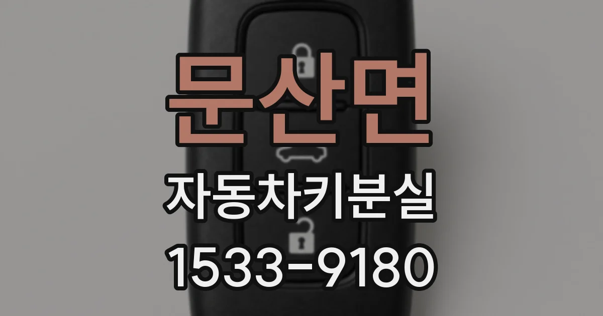 문산면 자동차키분실