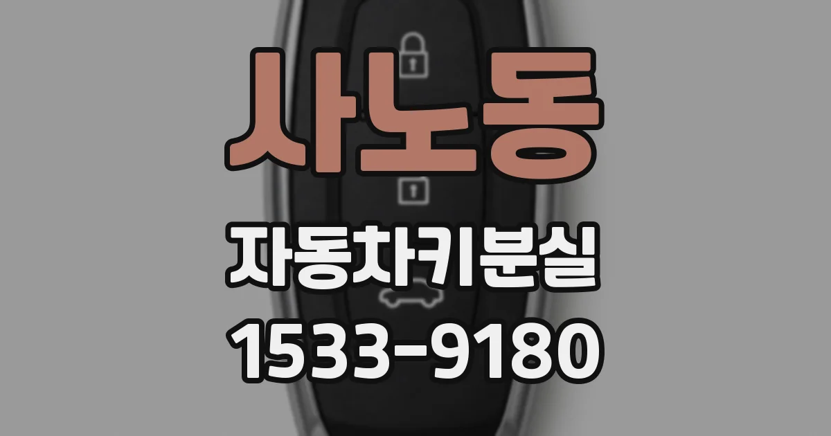 사노동 자동차키분실