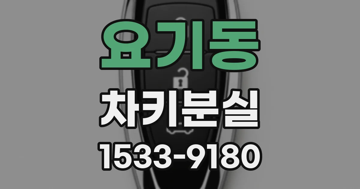 요기동 차키분실
