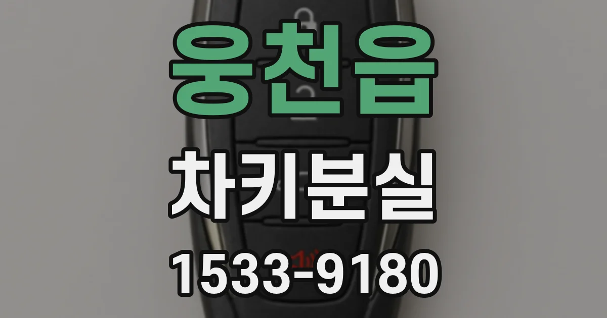 웅천읍 차키분실