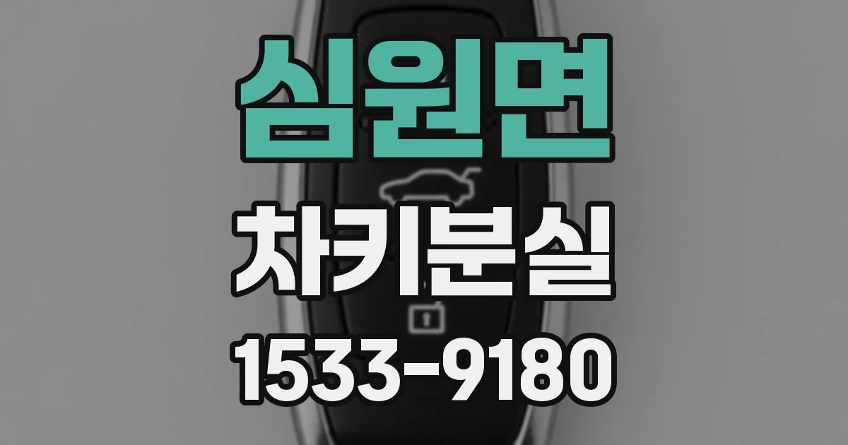 심원면 차키분실