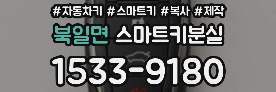 북일면 스마트키분실