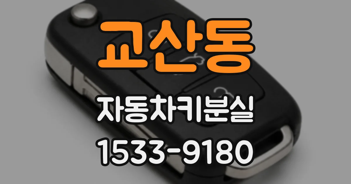 교산동 자동차키분실