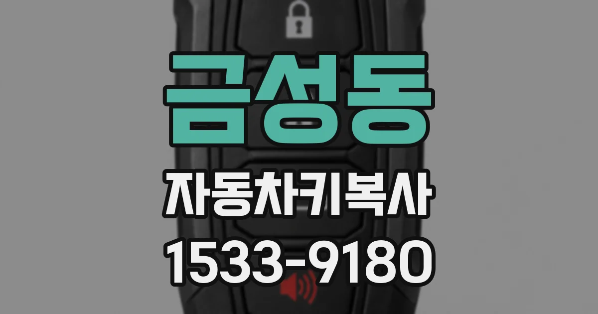 금성동 자동차키복사