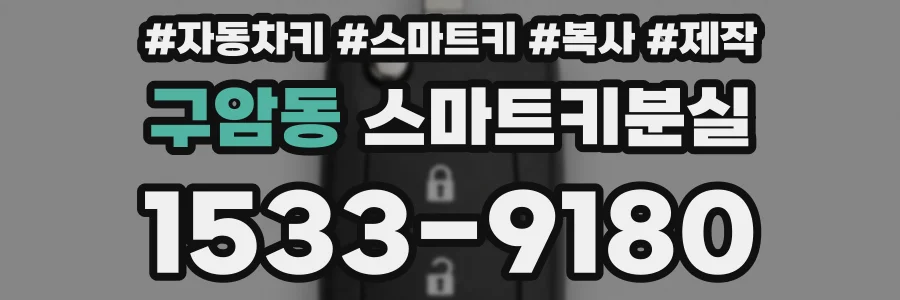 구암동 스마트키분실