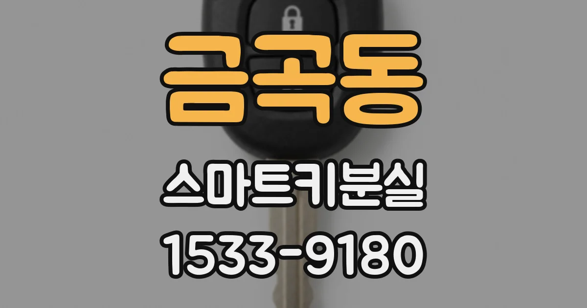 금곡동 스마트키분실
