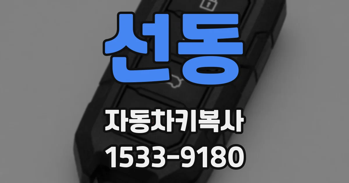 선동 자동차키복사