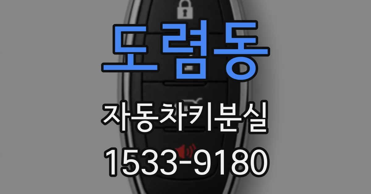 도렴동 자동차키분실