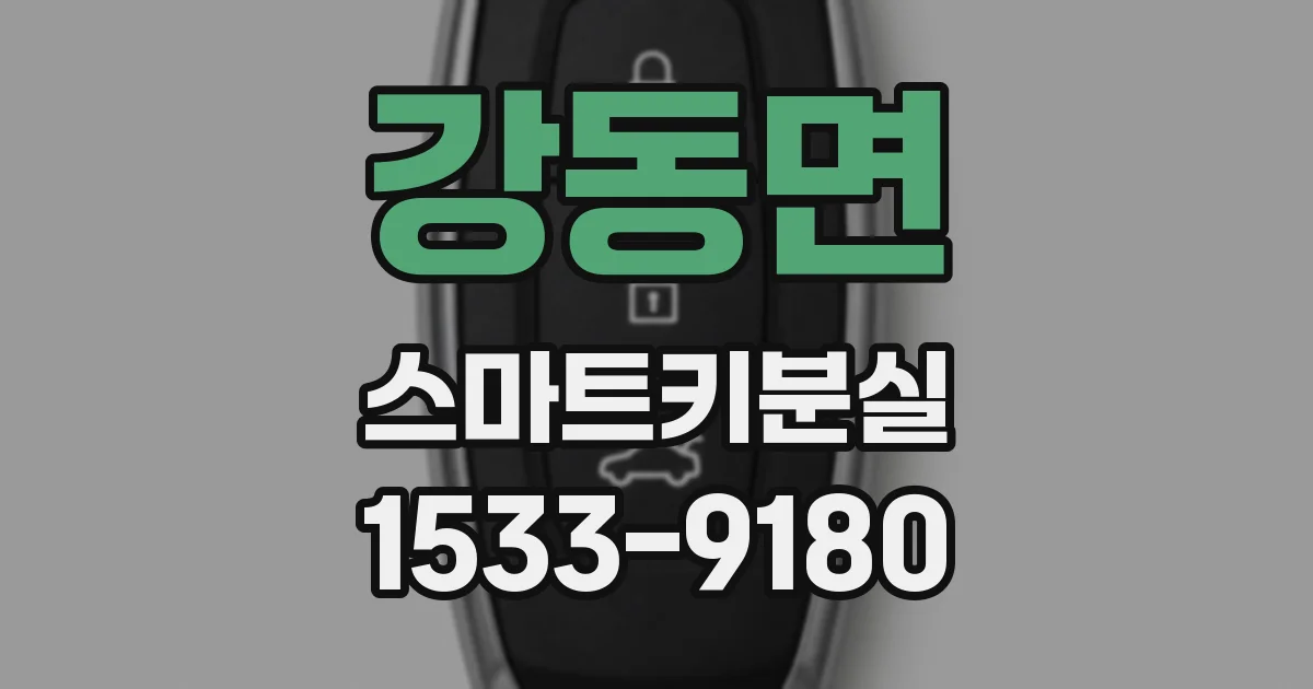 강동면 스마트키분실