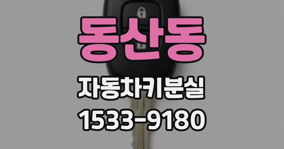동산동 자동차키분실