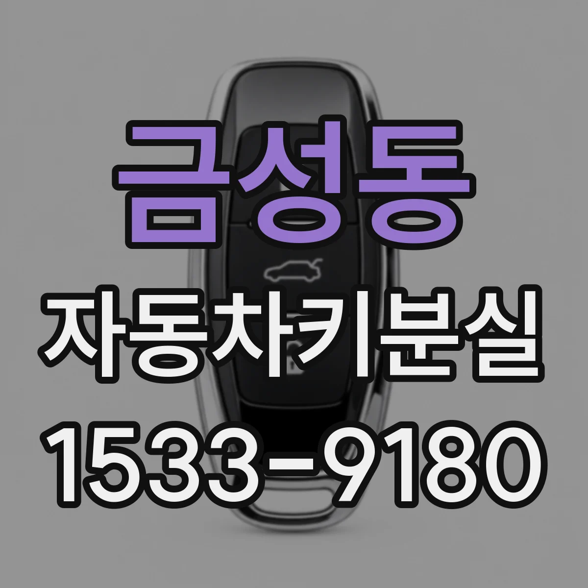 금성동 자동차키분실
