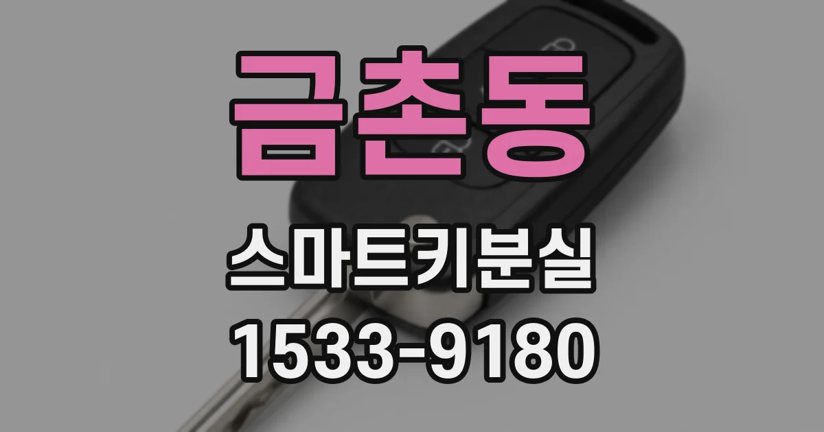 금촌동 스마트키분실