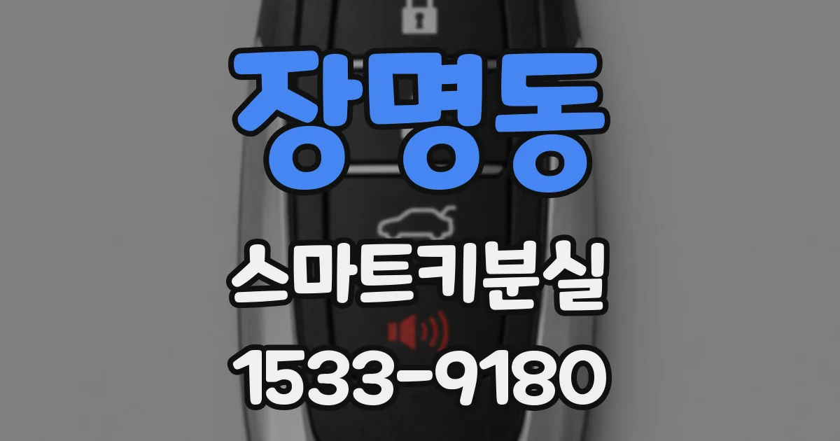 장명동 스마트키분실