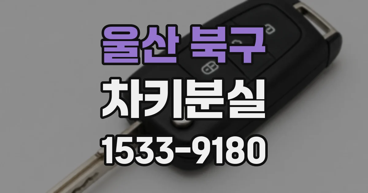 울산 북구 차키분실