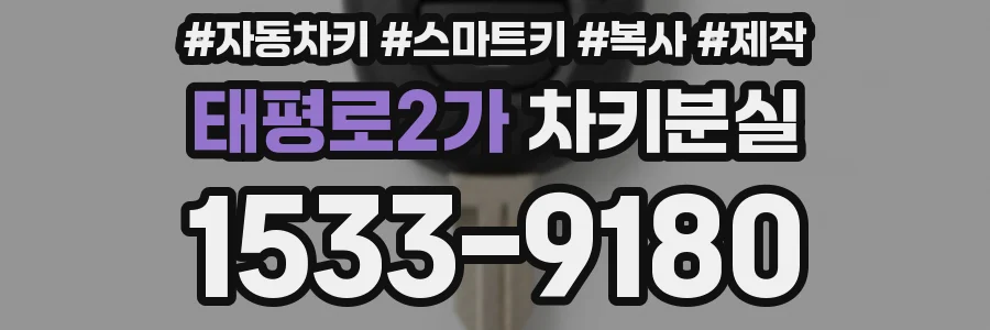 태평로2가 차키분실