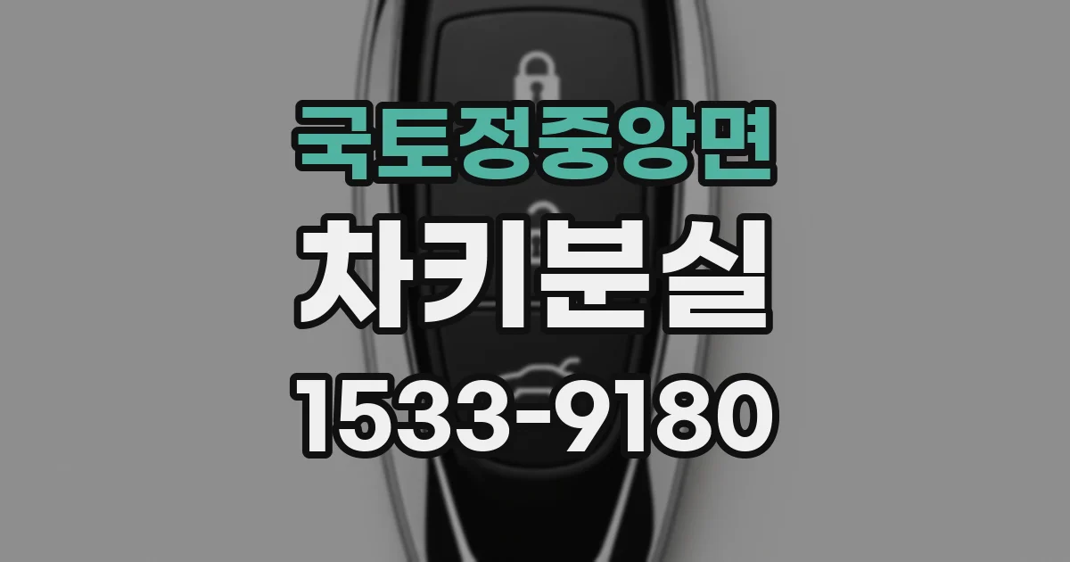 국토정중앙면 차키분실