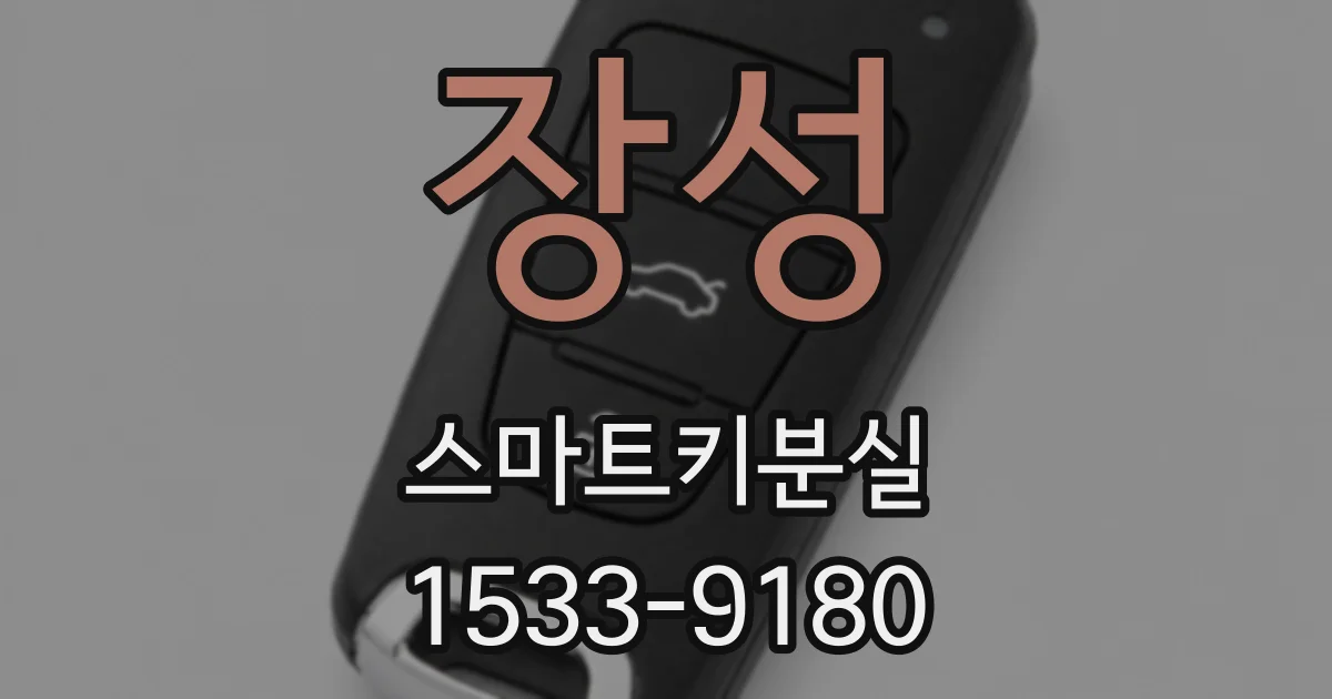 장성 스마트키분실
