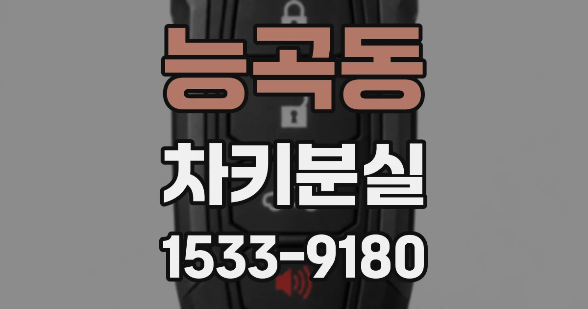 능곡동 차키분실