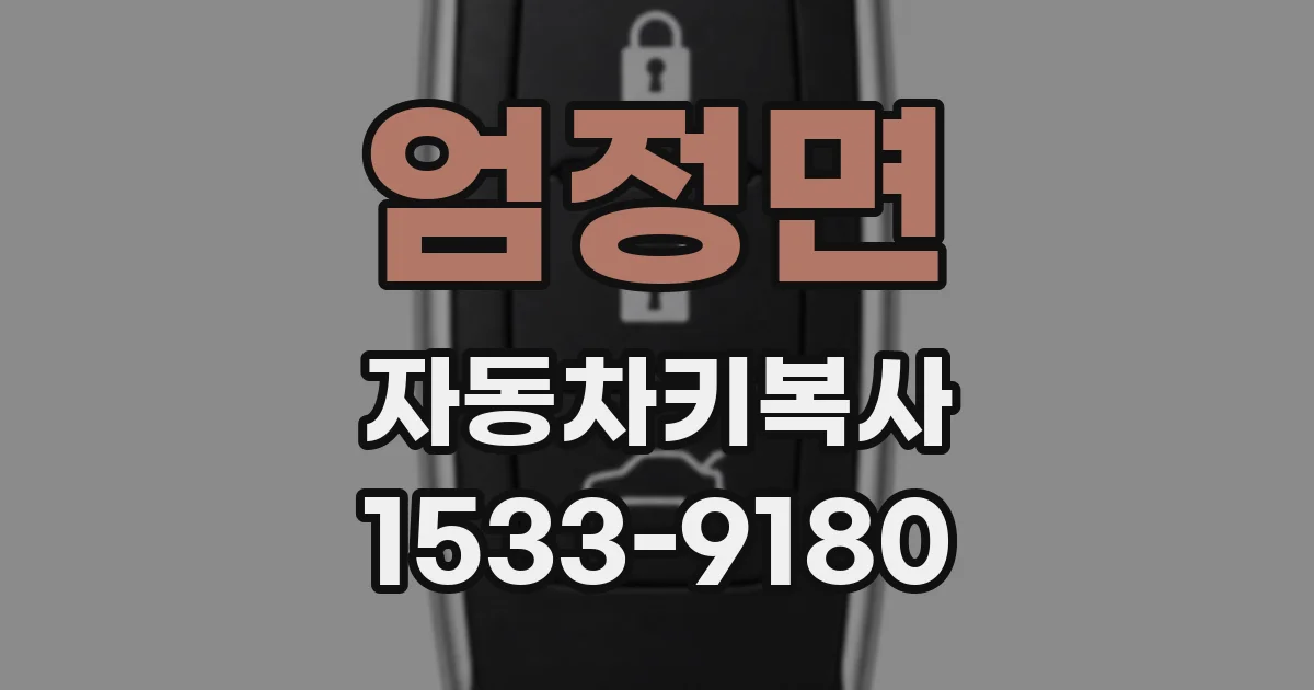 엄정면 자동차키복사